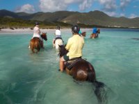 The horses actually seem to like this part of the ride as it&#39;s a nice cool down for them. In respect of the environment they all do &#34;their business&#34; before entering the water. No kidding, I&#39;m not sure of the reason but they do that before going in the water.